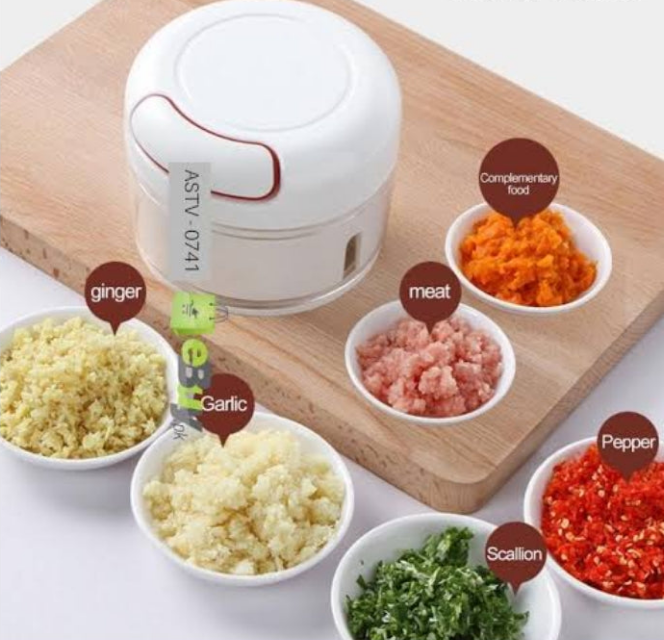 Mini food chopper