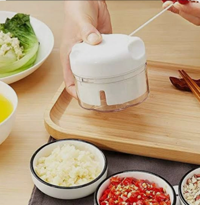 Mini food chopper